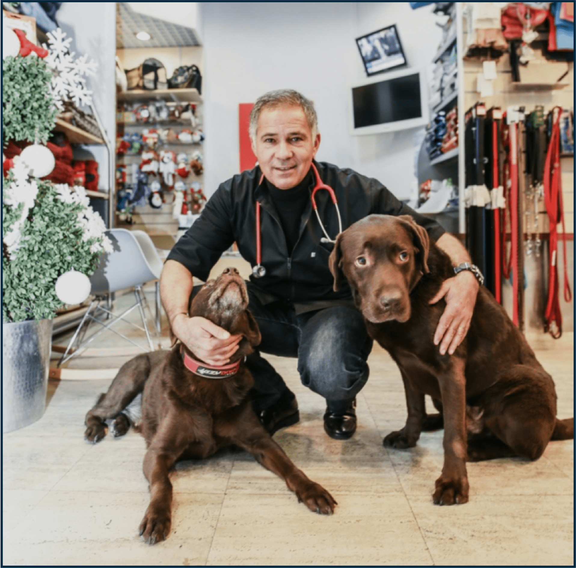 MyVetoCenter Détartrage pour chien, sans anesthésie